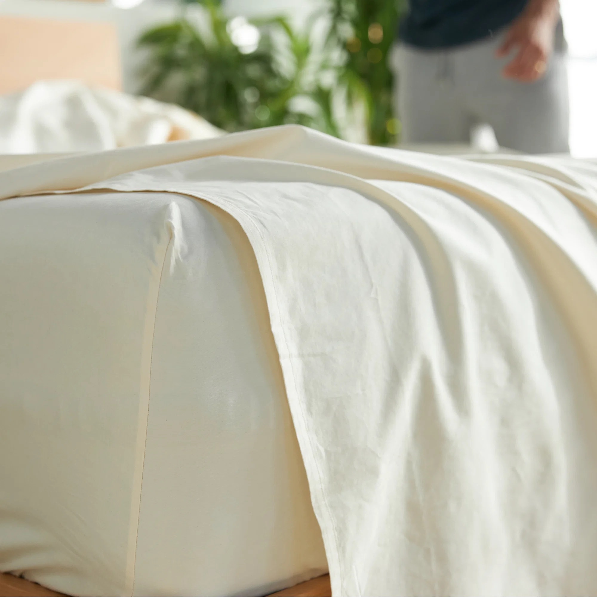 Avocado Percale Organic Cotton Sheets - Standard