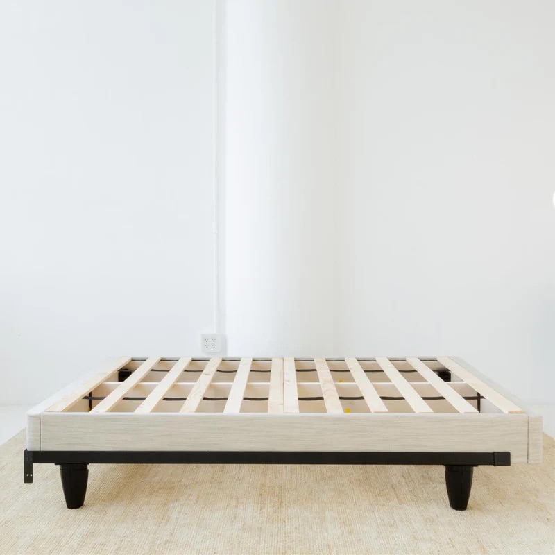 Avocado Foundation:  STANDARD