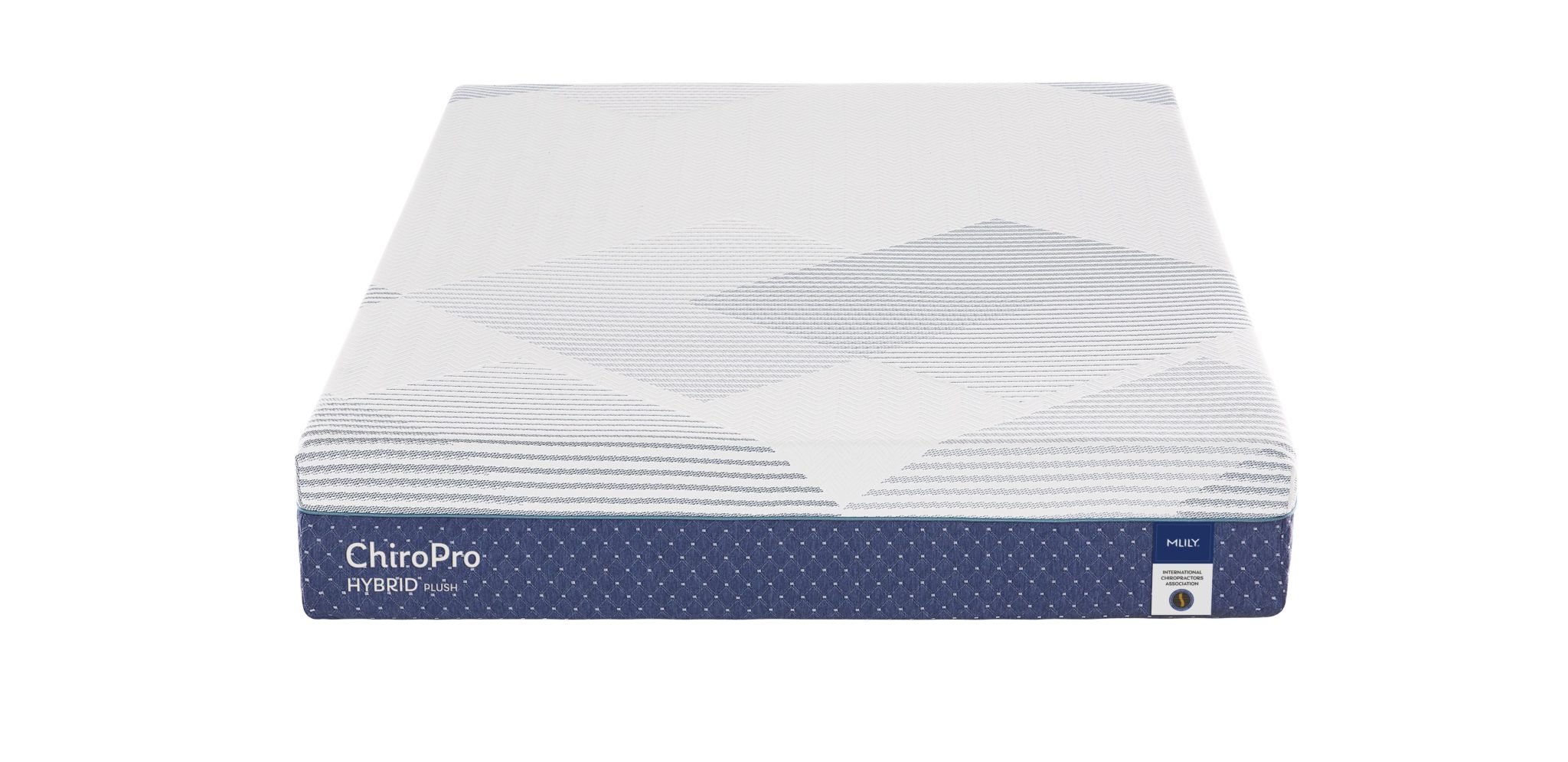 MLILY ChiroPro -Old version